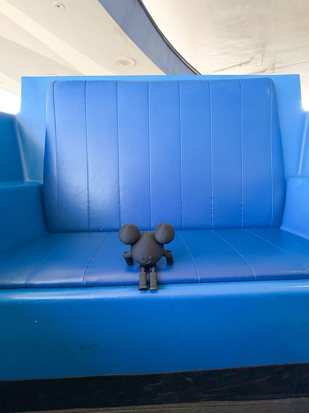 Mouse in the House
