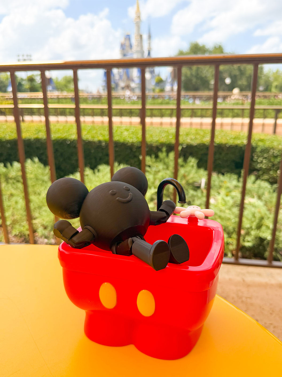 Mouse in the House