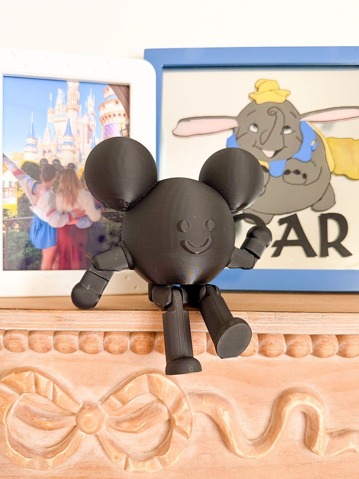 Mouse in the House