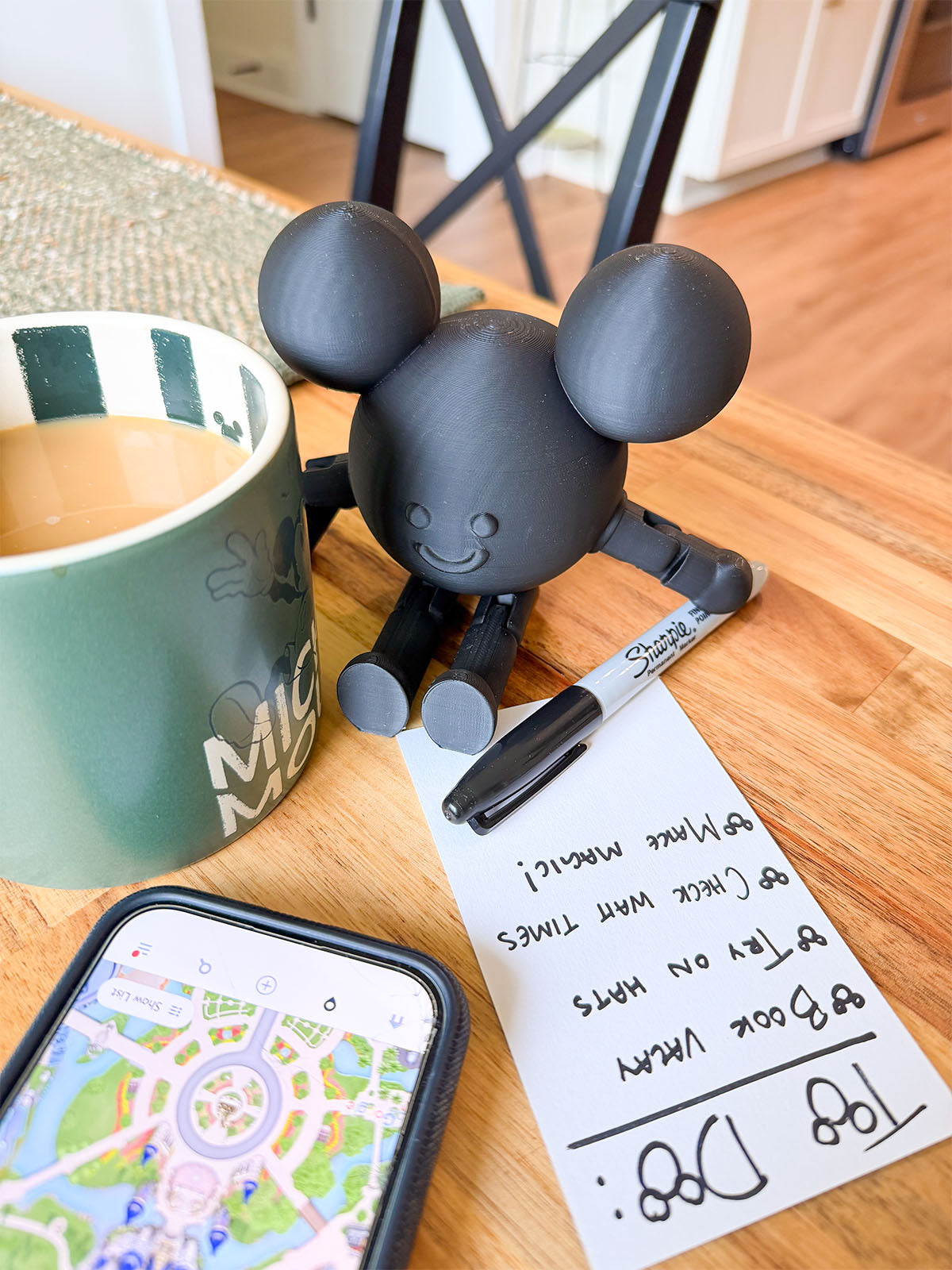 Mouse in the House