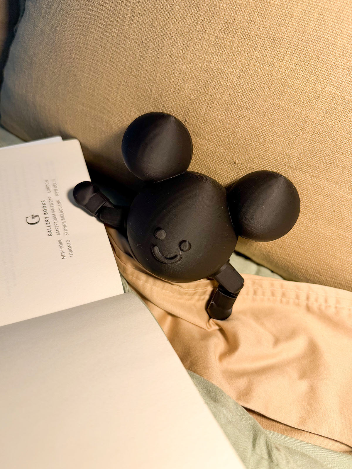Mouse in the House