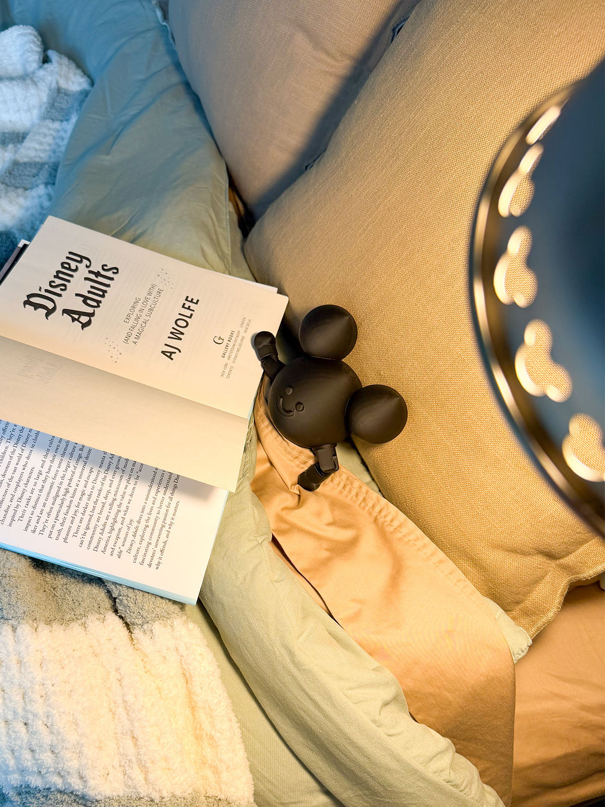 Mouse in the House