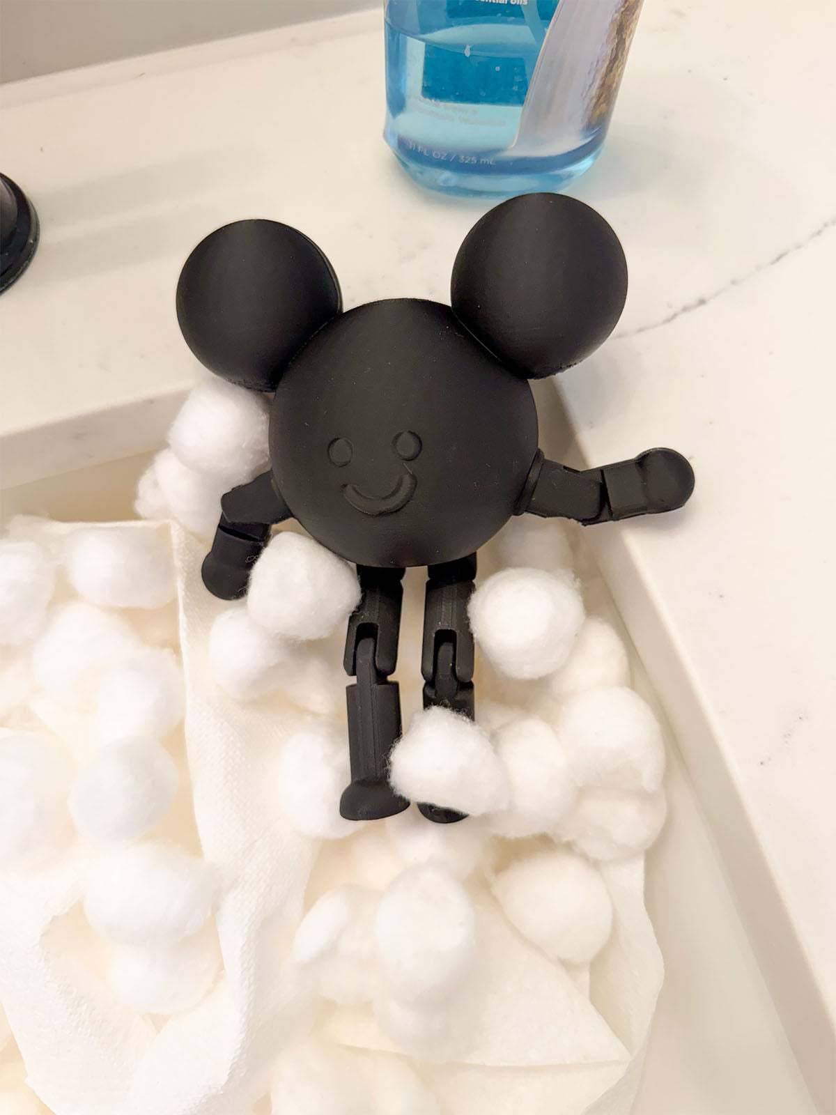 Mouse in the House