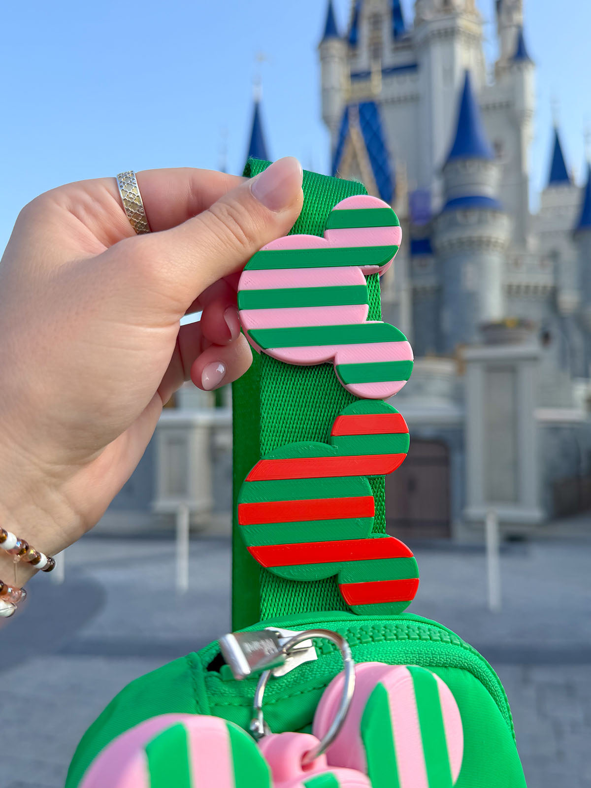 Seasonal Striped Belt and Bag Charm