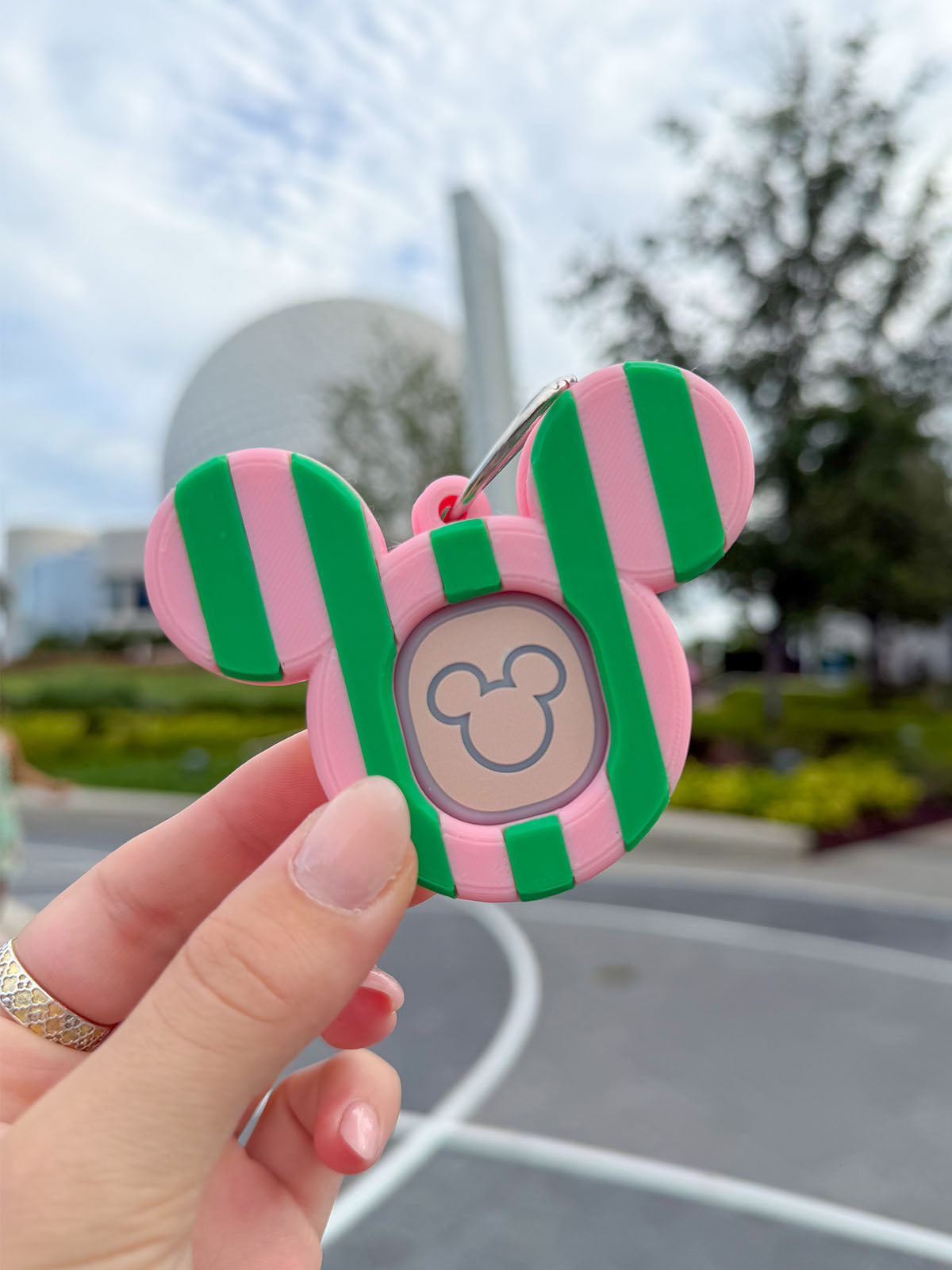 Seasonal Striped Magic Band Buddy