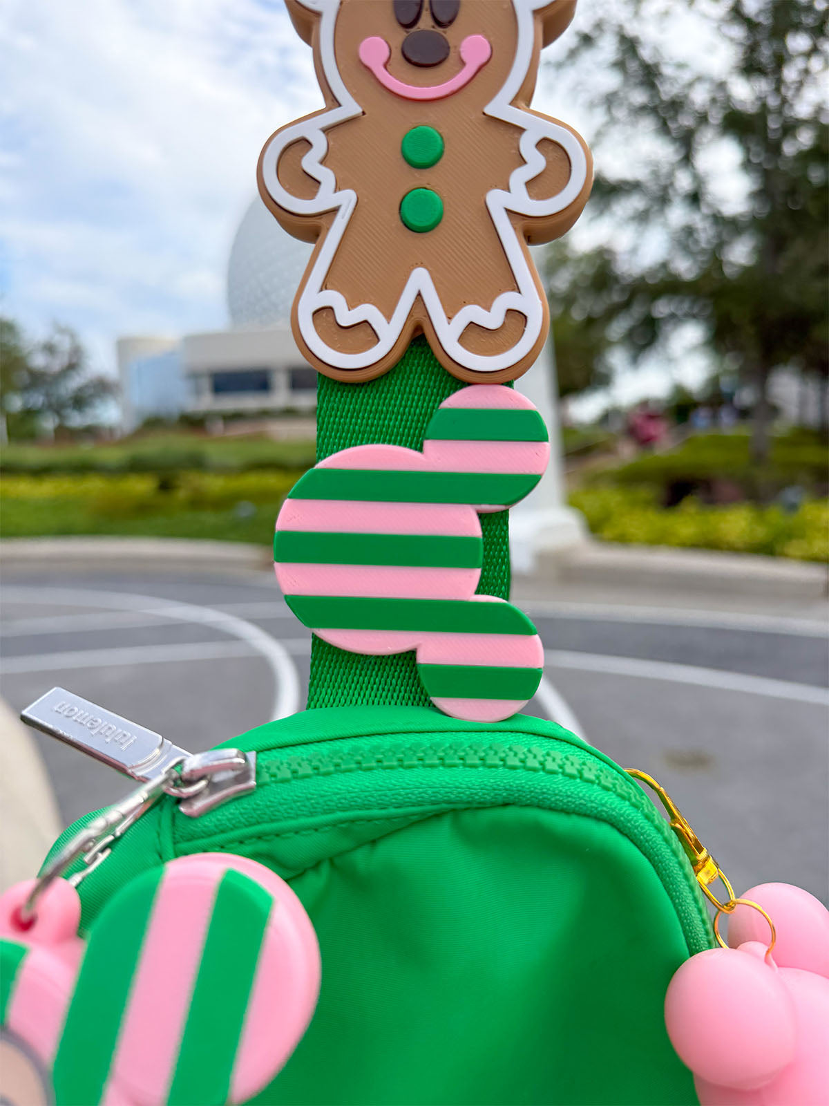 Seasonal Striped Belt and Bag Charm