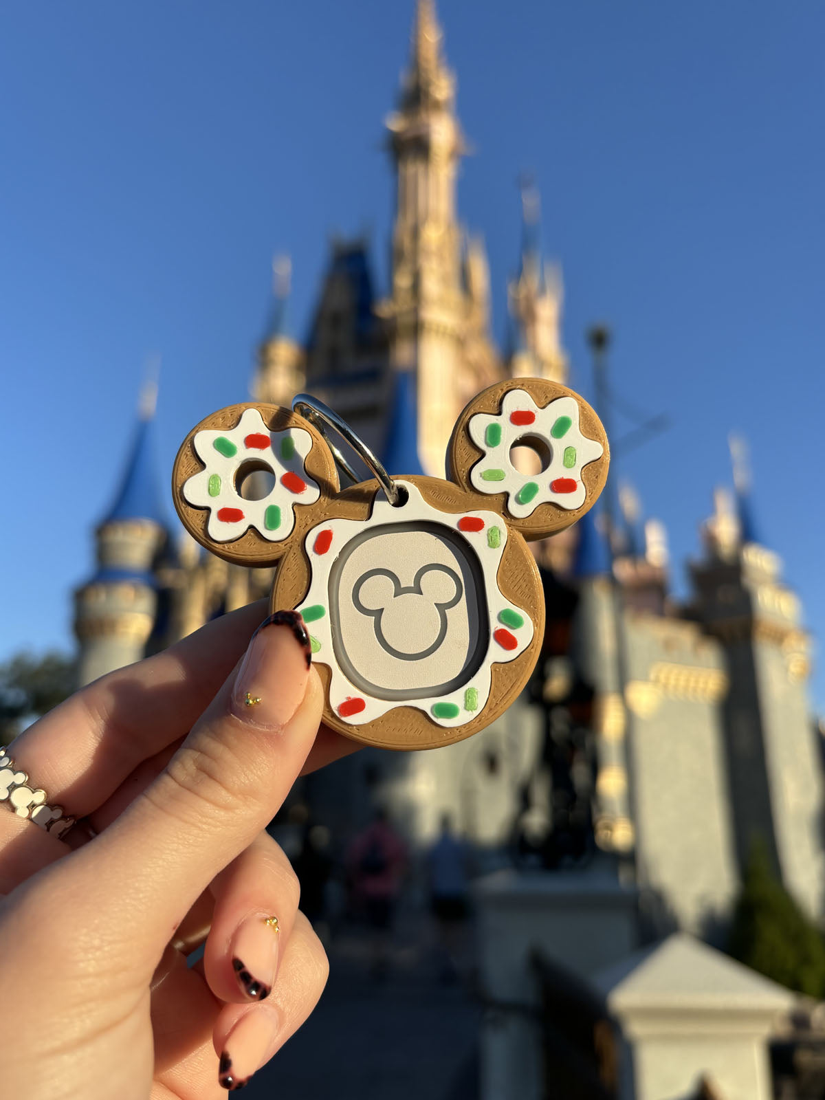 Seasonal Donut Magic Band Buddy