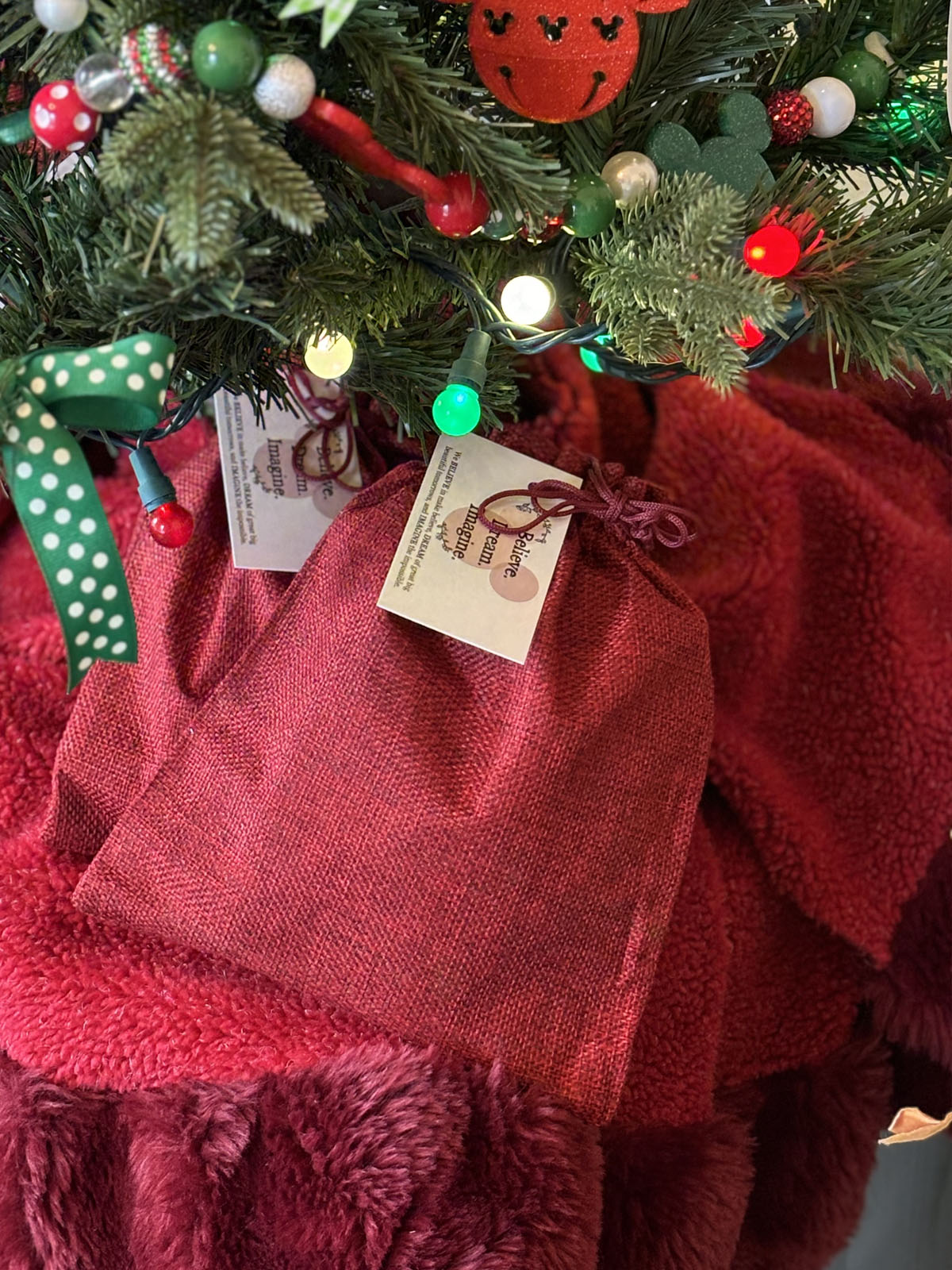 Santa Mystery Bag