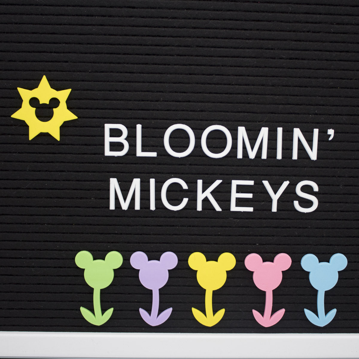Bloomin' Flower Letter Board Mediums